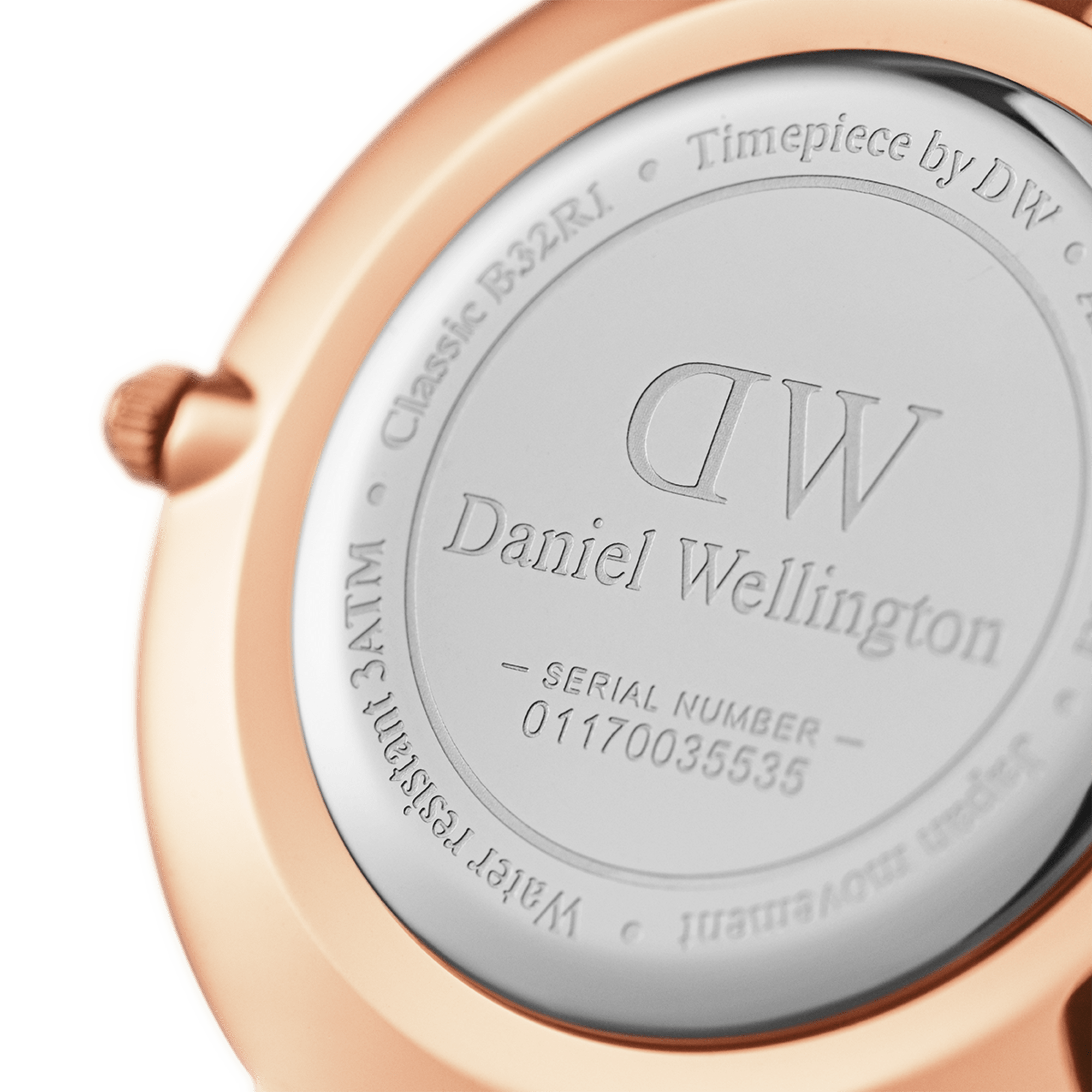 DW Petite Durham Rose Gold Watch